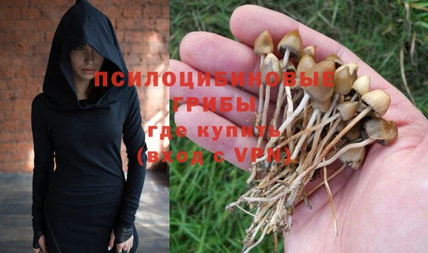 сатива Магадан